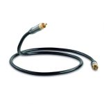 QED Performance Subwoofer Cable 3m