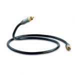 QED Performance Subwoofer Cable-3m