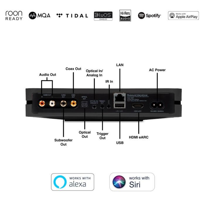 Bluesound Node Wireless Music Streamer Rear Ports