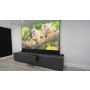 UST Projector cabinet with screen showing monkeys