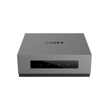 Wiim CI MOD A80 Streaming Amplifier
