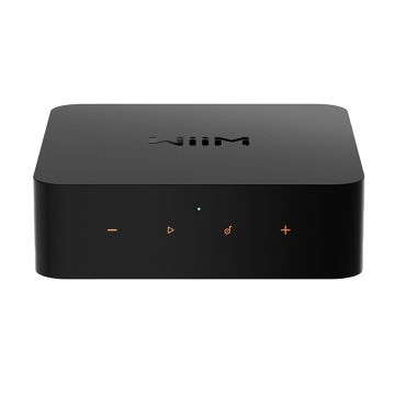 Wiim Pro Music Streamer