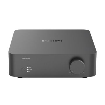Wiim Amp Vibelink