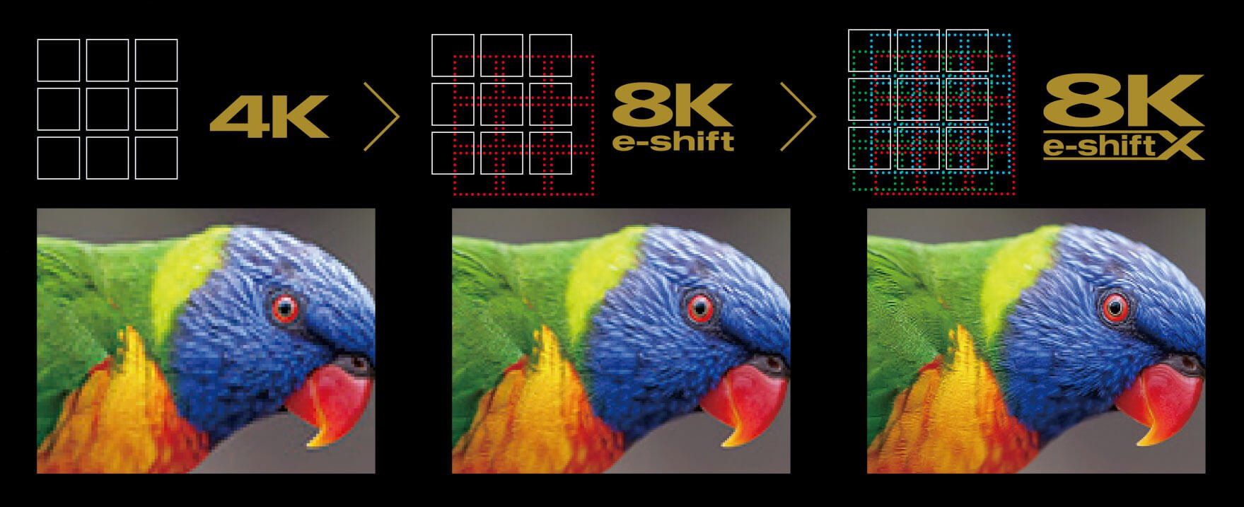 4k resolution against 8k resolution against JVC's 8k eshiftX resolution with parrots 