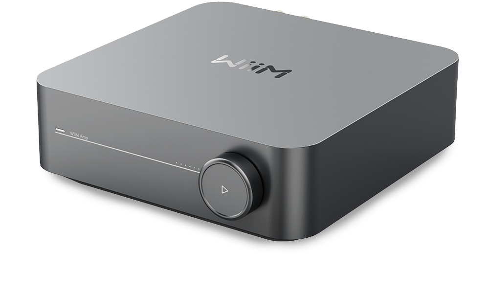 Wiim Amp